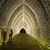 Photos: Brooklyn Botanic Garden Unveils 'Enchanting' After-Dark Experience